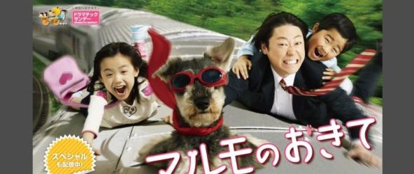 マルモのおきて